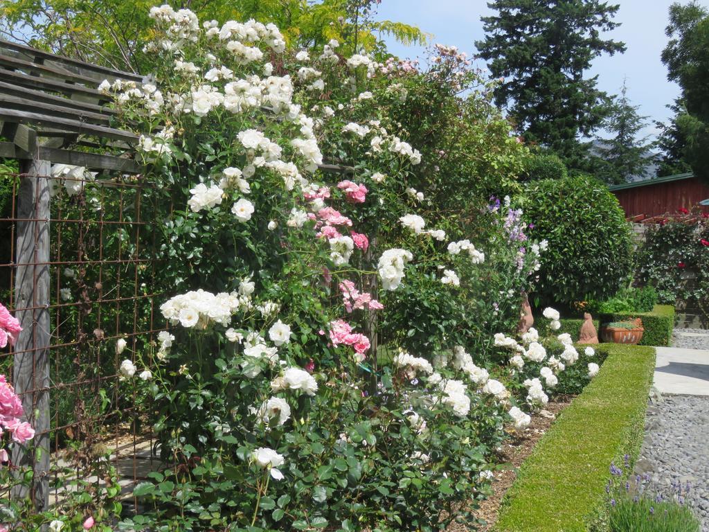핸머스프링스 Marchmont Gardens B&B 외부 사진