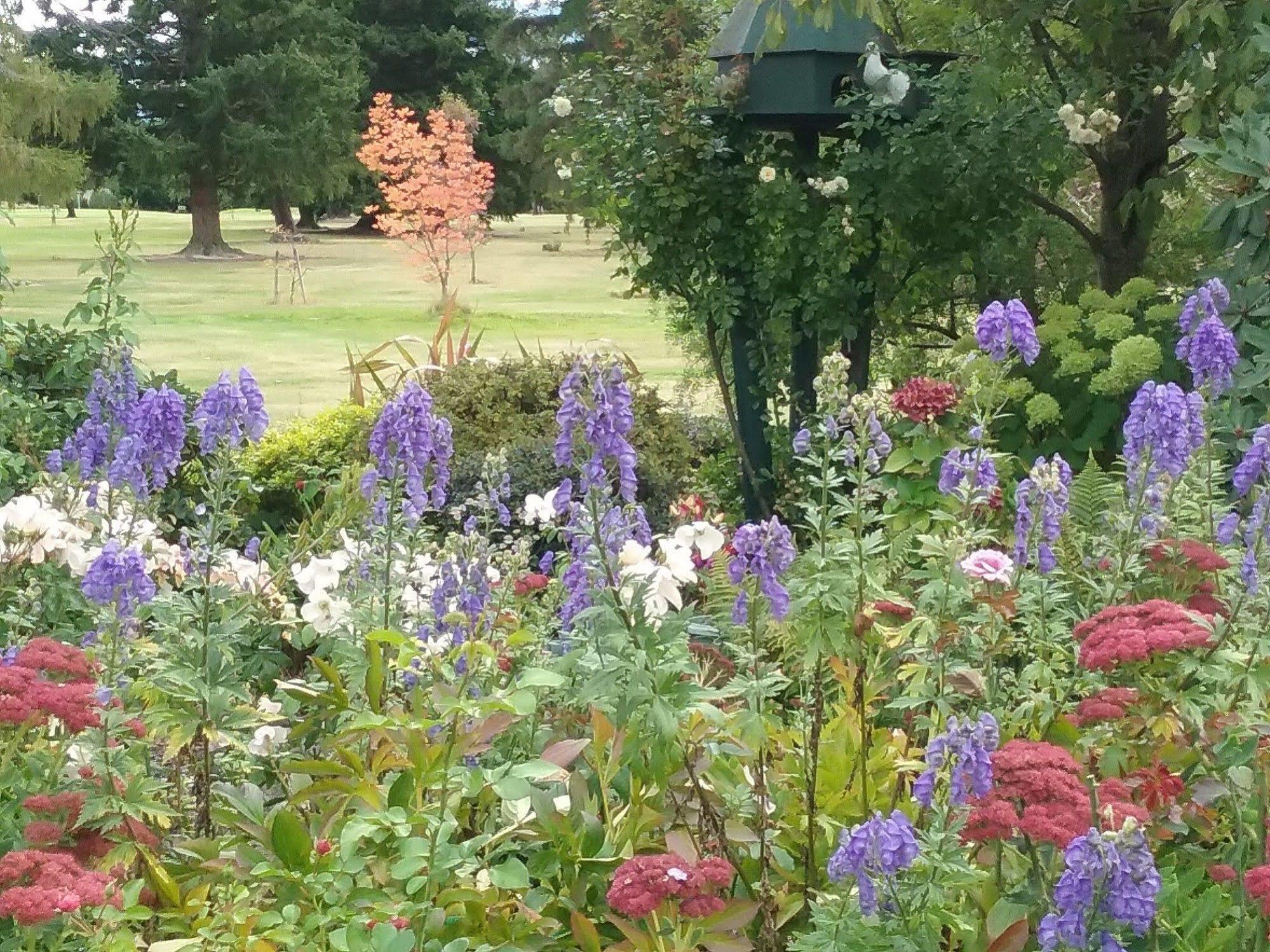 핸머스프링스 Marchmont Gardens B&B 외부 사진