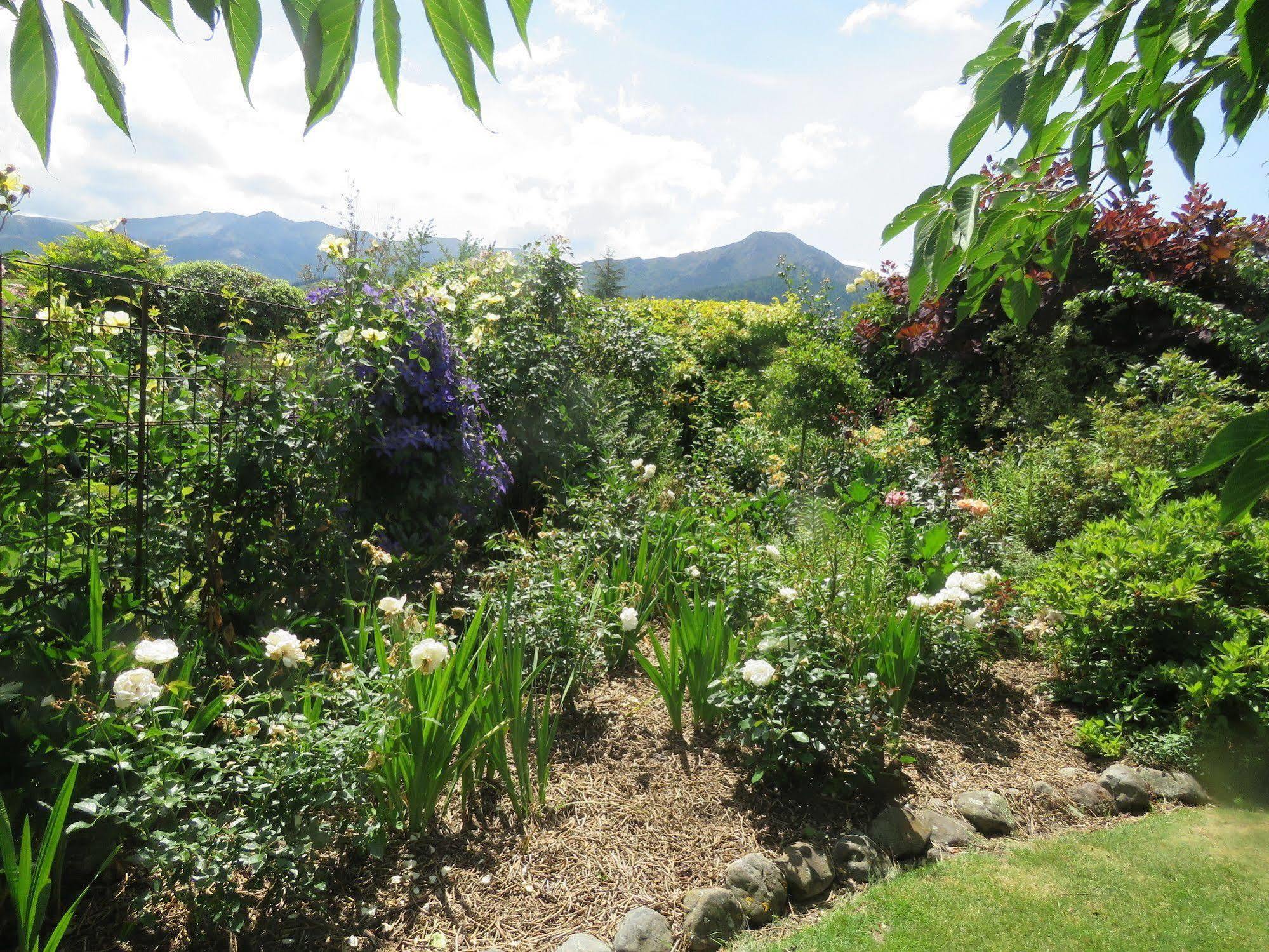 핸머스프링스 Marchmont Gardens B&B 외부 사진